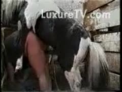 A kinky whore is having her studhorse stretch her big wet crack even more.